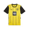 MAILLOT DORTMUND DOMICILE 24/25